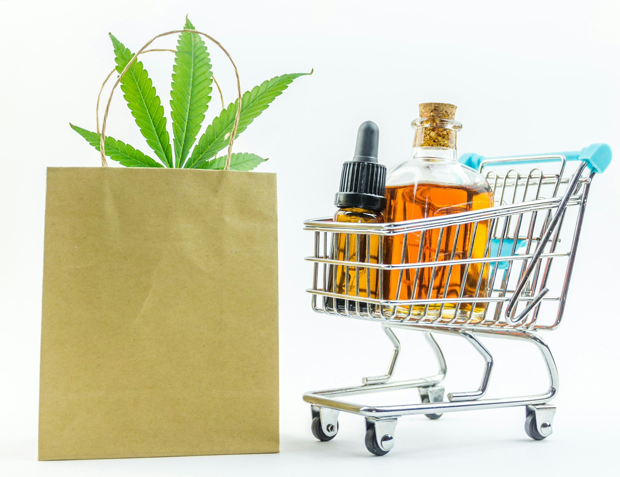 Hemp CBD SEO Digital Marketing for eCommerce to Boost Online Sales